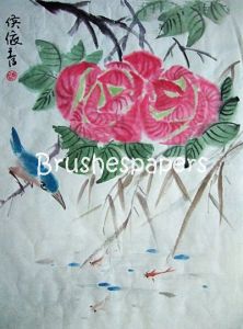 cotton rose and kingfisher 16-03-2016